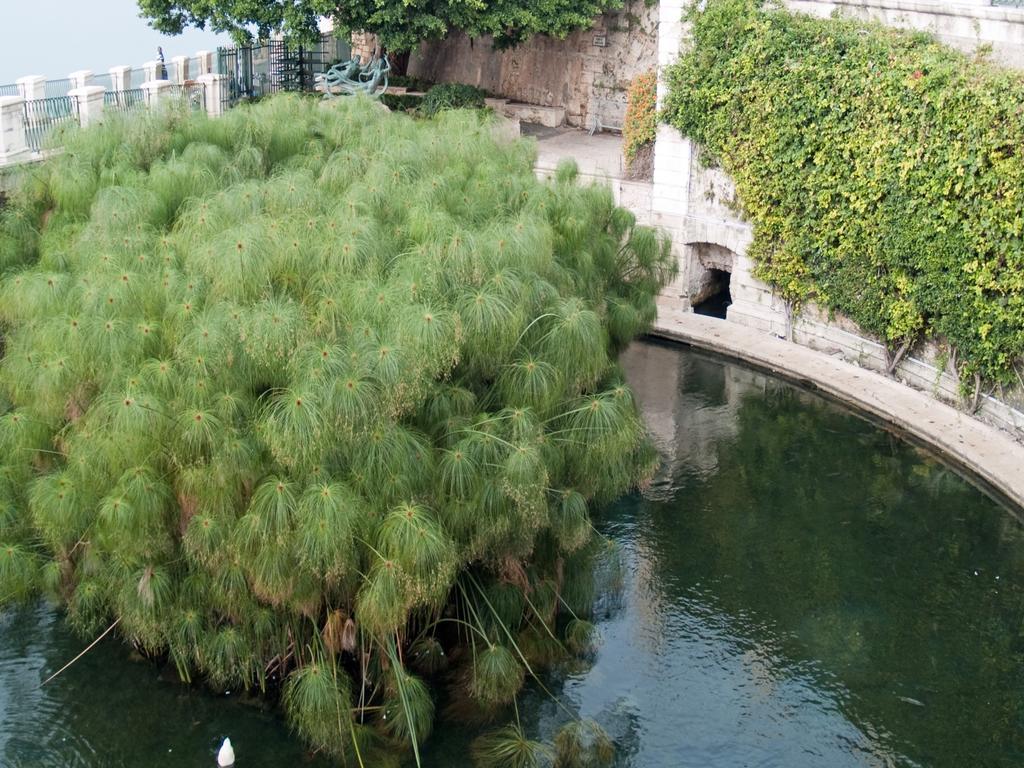 Rosa Di Ortigia Daire Siraküza Dış mekan fotoğraf